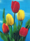 FLORES LENTICULAR 3D Vintage Tarjeta Postal CPSM #PAZ174.ES - Blumen