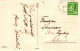 FLORES Vintage Tarjeta Postal CPA #PKE681.ES - Blumen
