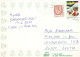 FLORES Vintage Tarjeta Postal CPSM #PBZ145.ES - Bloemen