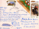 NIÑOS NIÑOS Escena S Paisajes Vintage Tarjeta Postal CPSM #PBT254.ES - Scènes & Paysages