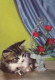 GATO GATITO Animales Vintage Tarjeta Postal CPSM #PBR033.ES - Chats