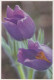 FLOWERS Vintage Ansichtskarte Postkarte CPSM #PAS460.DE - Bloemen