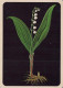 FLOWERS Vintage Ansichtskarte Postkarte CPSM #PAS520.DE - Blumen