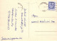 VOGEL Tier Vintage Ansichtskarte Postkarte CPSM #PAN304.DE - Pájaros