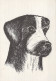 HUND Tier Vintage Ansichtskarte Postkarte CPSM #PAN756.DE - Dogs