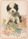 HUND Tier Vintage Ansichtskarte Postkarte CPSM #PAN428.DE - Perros