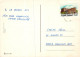 KATZE MIEZEKATZE Tier Vintage Ansichtskarte Postkarte CPSM #PAM180.DE - Katzen