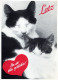 KATZE MIEZEKATZE Tier Vintage Ansichtskarte Postkarte CPSM #PAM302.DE - Katzen