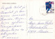 KATZE MIEZEKATZE Tier Vintage Ansichtskarte Postkarte CPSM #PAM057.DE - Chats
