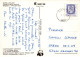 VOGEL Tier Vintage Ansichtskarte Postkarte CPSM #PAM685.DE - Pájaros