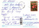 HÉRISSON Animaux Vintage Carte Postale CPSM #PBR231.FR - Autres & Non Classés