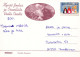 CHIEN Animaux Vintage Carte Postale CPSM #PBQ514.FR - Perros