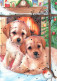CHIEN Animaux Vintage Carte Postale CPSM #PBQ514.FR - Dogs