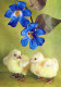 PÂQUES POULET ŒUF Vintage Carte Postale CPSM #PBO673.FR - Easter