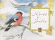 Bonne Année Noël OISEAU Vintage Carte Postale CPSM #PBM730.FR - New Year