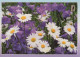 FIORI Vintage Cartolina CPSM #PAS521.IT - Flores