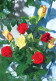 FIORI Vintage Cartolina CPSM #PAS584.IT - Blumen