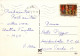 UCCELLO Animale Vintage Cartolina CPSM #PAM810.IT - Oiseaux