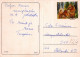 GATTO KITTY Animale Vintage Cartolina CPSM #PAM181.IT - Chats