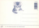 GATTO KITTY Animale Vintage Cartolina CPSM Unposted #PAM432.IT - Chats