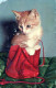 KATZE MIEZEKATZE Tier Vintage Ansichtskarte Postkarte CPA #PKE743.DE - Cats