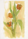 FLOWERS Vintage Ansichtskarte Postkarte CPSM #PBZ327.DE - Blumen