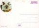 KATZE MIEZEKATZE Tier Vintage Ansichtskarte Postkarte CPSM #PBR035.DE - Katten