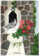 KATZE MIEZEKATZE Tier Vintage Ansichtskarte Postkarte CPSM #PBR035.DE - Chats