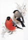 VOGEL Tier Vintage Ansichtskarte Postkarte CPSM #PBR688.DE - Birds