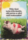 PIGS Tier Vintage Ansichtskarte Postkarte CPSM #PBR750.DE - Schweine