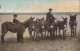 ASINO Animale BAMBINO Vintage CPA Cartolina #PAA328.IT - Donkeys