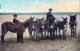 ASINO Animale BAMBINO Vintage CPA Cartolina #PAA328.IT - Donkeys
