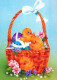 PASQUA POLLO UOVO Vintage Cartolina CPSM #PBO799.IT - Easter