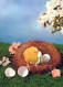 PASQUA POLLO UOVO Vintage Cartolina CPSM #PBP115.IT - Easter