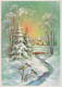 Buon Anno Natale UCCELLO Vintage Cartolina CPSM #PBM606.IT - New Year