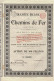 Titre De 1894 - Banque Belge De Chemins De Fer -VF - Banca & Assicurazione