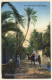 Lehnert & Landrock N°648: Rencontre Dans L'Oasis / Camels (Vintage PC 1913) - Other & Unclassified
