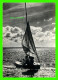 SHIP, BATEAU, VOILIER - VISAGE DES LANDES (40) - SUR LES LACS - VOILE AU REPOS - ÉCRITE -  PHOTO VIGNES - - Segelboote
