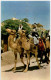 Beer Sheba - Bedouins On Camels - Israel