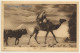 Lehnert & Landrock N°1060: Cairo - Eventide / Camel (Vintage PC 1910s/1920s) - Andere & Zonder Classificatie
