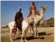 Beduin Horsemen Camel - Israel