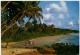 Beach Scene - Sri Lanka (Ceilán)
