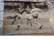 Photographie . N° 52017 .foot . Valenciennes Bat Le Stade Francais.1963 Photo De Presse Universal. 18 X 13 Cm. - Sports