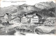 Suisse - N°80103 - BRIENZ - Hôtel De La Croix-Blanche & Poste - Brienz
