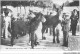 CAR-AAIP9-79-0764 - NIORT - Concours Agricole 1906 - Anesse Suitee 1er Prix - Niort