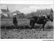CAR-AAJP4-49-0320 - BEHUARD - La Culture Du Chanvre - Homme Labourant Avec Un Cheval - Sonstige & Ohne Zuordnung