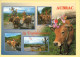 Vaches : La Transhumance Sur Les Monts D'Aubrac / Multivues / Fête (voir Scan Recto/verso) - Vaches