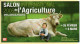 Vaches : Salon International De L'Agriculture 2005 - Vache Et Enfant - Grand Format 21 X 11 Cm Carte Double - Vaches