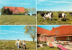 73672430 Rehkamp Urlaub Auf Dem Bauernhof Ponys Viehweide Kuehe  - Oldenburg (Holstein)