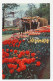 Firma Briefkaart Hillegom 1960 - Bloembollenkwekerij - Non Classés